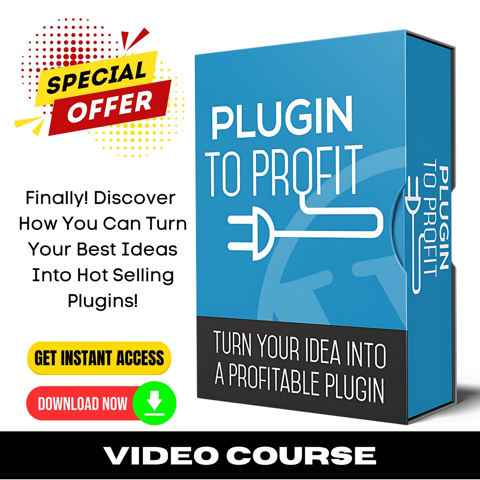 Plugin To Profit (Video Training)